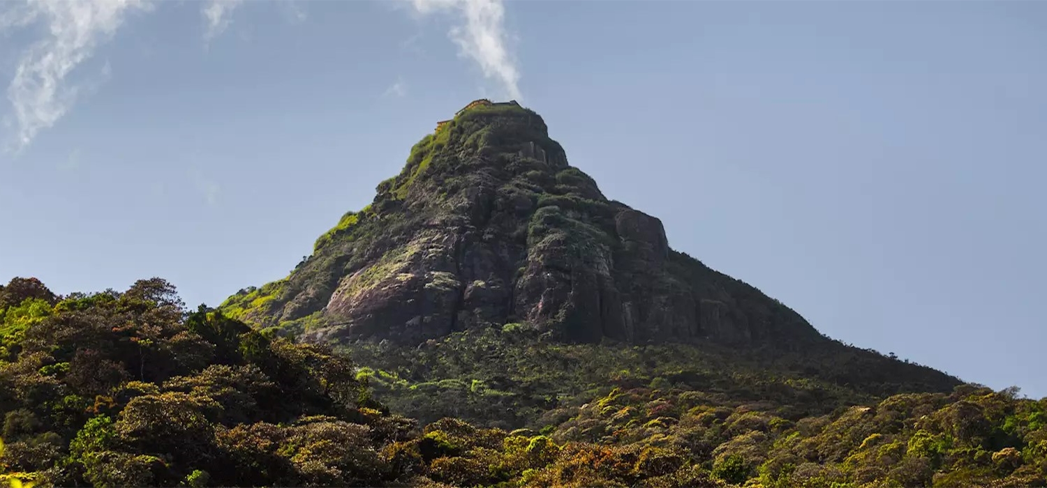 02 days sightseeing tour of Sri Lanka  - Climbing Adam's Peak and visiting Kandy, Peradeniya Botanical Garden, Pinnawala Elephant Orphanage